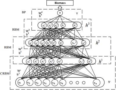 Biomass prediction method of nuclear power cold source disaster based on deep learning